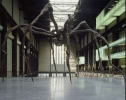 The turbine hall of the building is 26 meters high. This portion is utilized for showcasing large-scale artwork. The authorities have also buried a ti